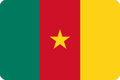 Flag of Cameroon